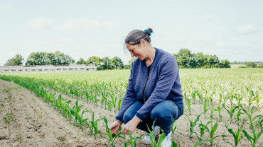 Angélique, test légende BO media