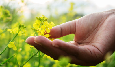 Nous cultivons la biodiversité