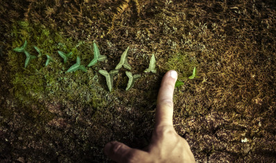 Nous préservons la nature qui nous entoure